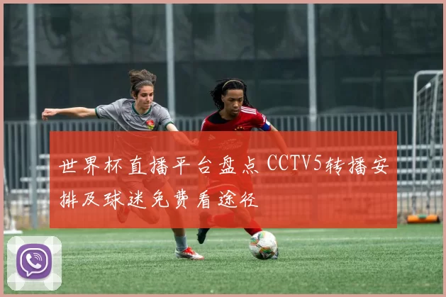 世界杯直播平台盘点 CCTV5转播安排及球迷免费看途径
