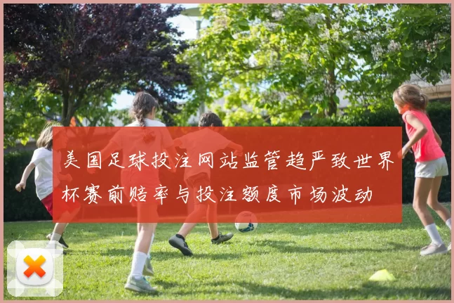 美国足球投注网站监管趋严致世界杯赛前赔率与投注额度市场波动